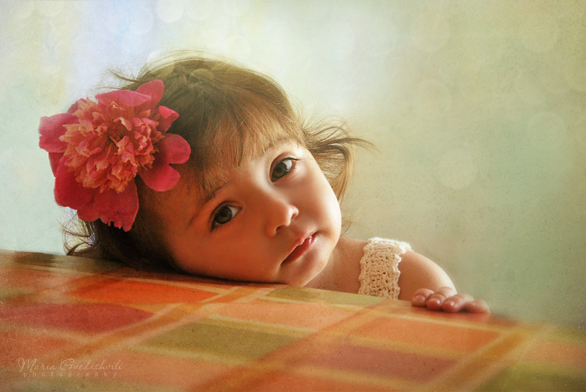 宝贝，我们去哪儿拍照