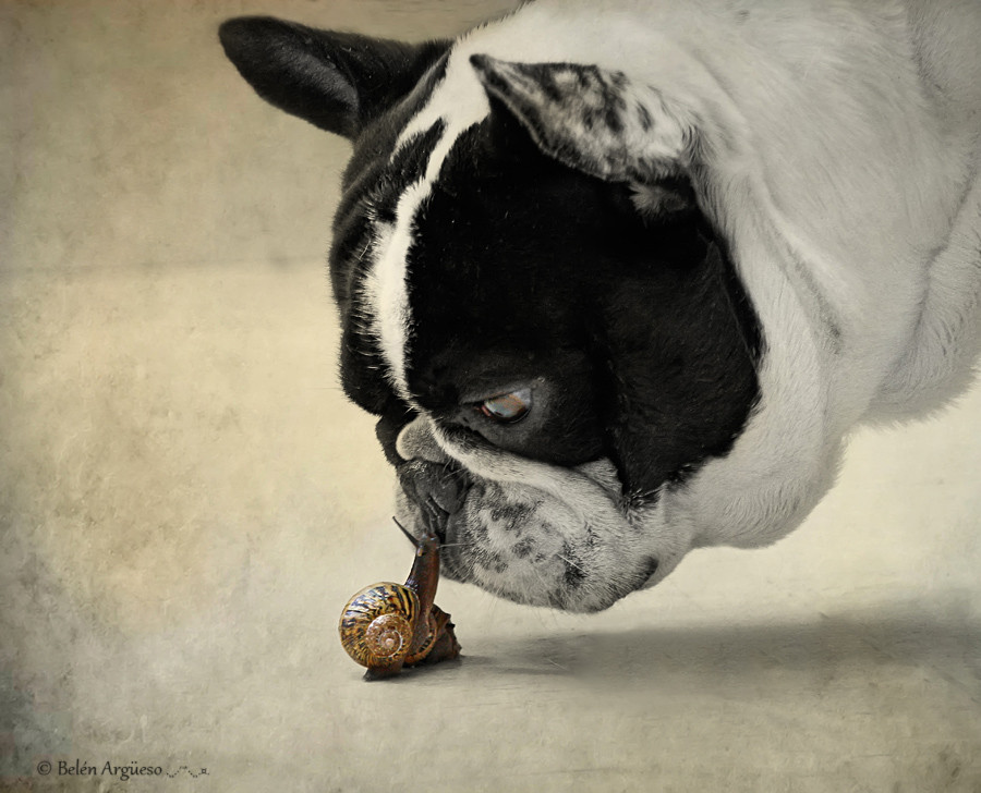 2014，我们接吻吧