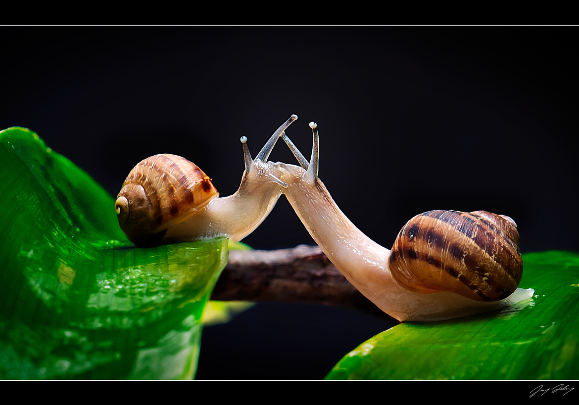 2014，我们接吻吧