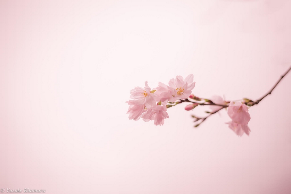 风光摄影：?；?/></a> </p>
<p class=