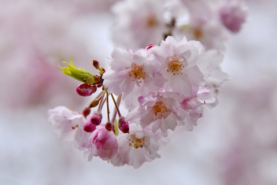 风光摄影：?；?/></a> </p>
<p class=