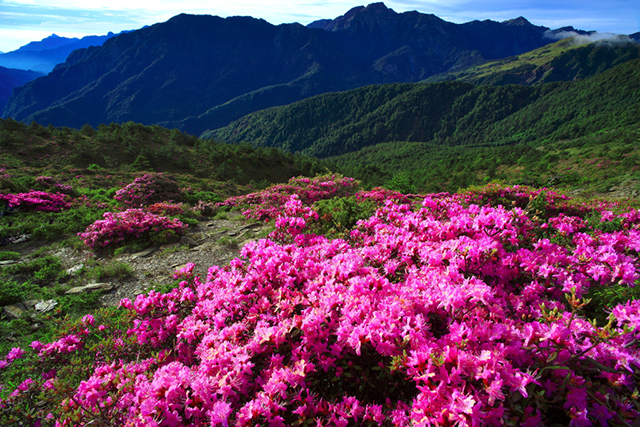摄影教程:照片的立体感是怎样炼成的
