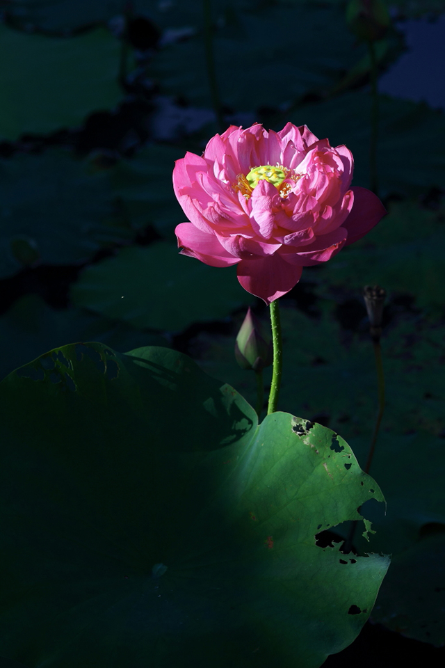 摄影教程:照片的立体感是怎样炼成的