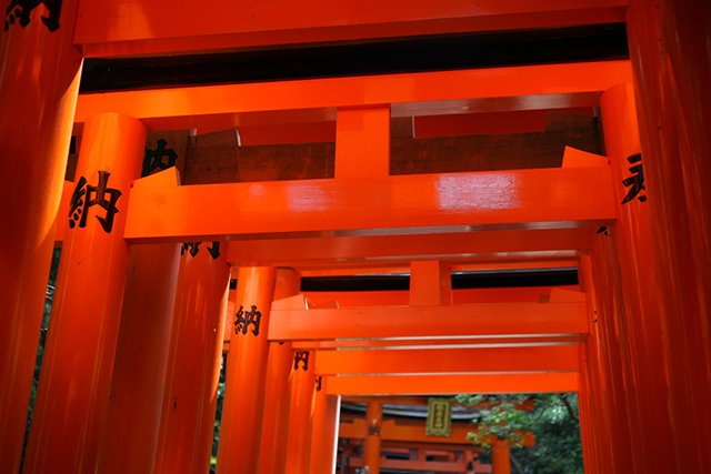 摄影教程:照片的立体感是怎样炼成的