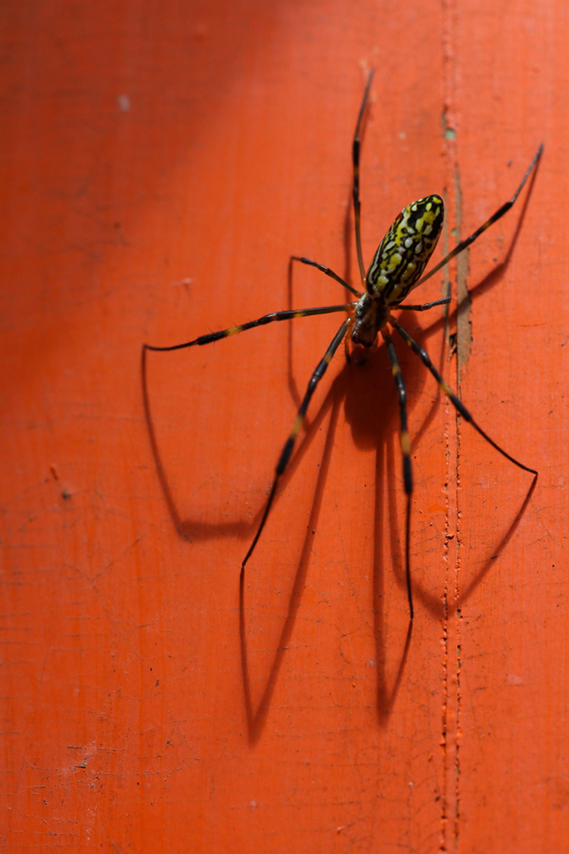 摄影教程:照片的立体感是怎样炼成的