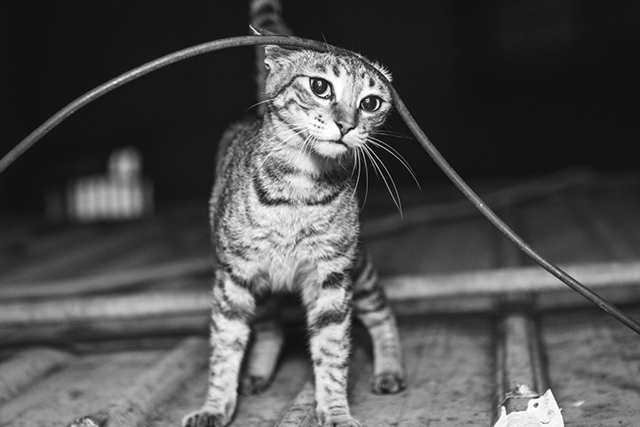 摄影教程:照片的立体感是怎样炼成的