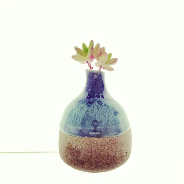 9个手机摄影技巧，助你个人魅力快速飙升