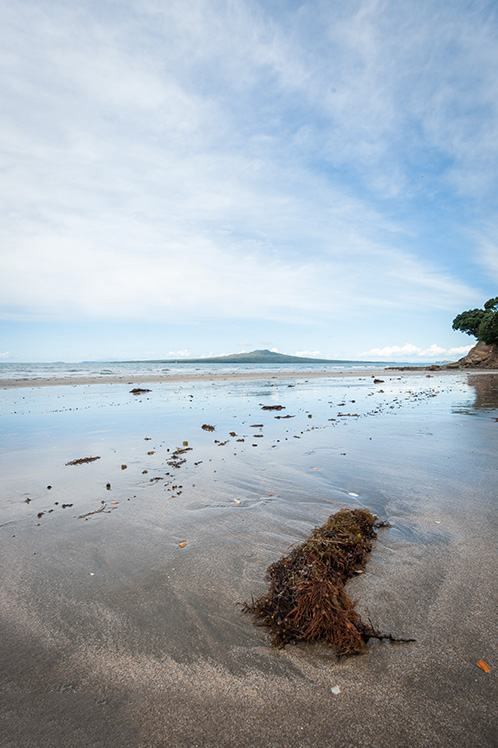 10个改善构图的简单技巧