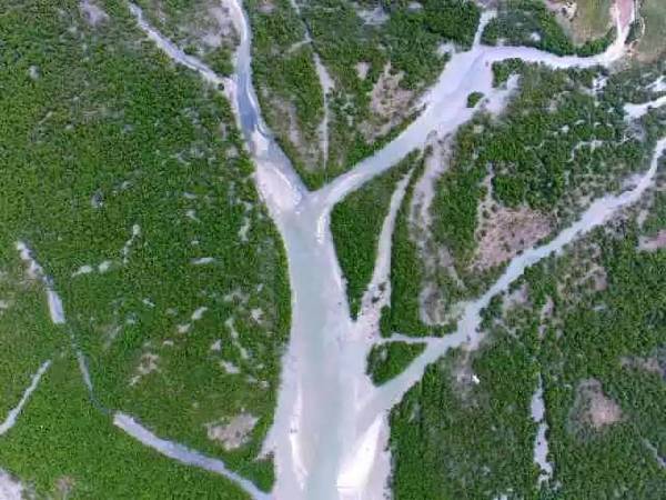 天空茶座(第2期)】对话“机长”黄孝邦