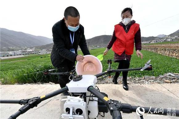 湖北?？担何奕嘶Υ汗茏饕?/></p>
<p>　　正值小麦春管时节，湖北省襄阳市?？迪卦诼涫狄咔榉揽卮胧┑耐保炕筇锟萍脊芾?，利用植保无人机对小麦进行喷药作业，不误农时，为当地农民防治小麦病虫害、促进夏粮丰收打下基础。（杨韬、杨先强摄影报道）</p>
<p align=