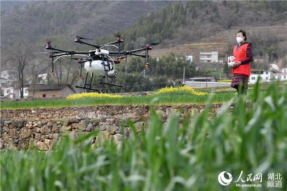 湖北?？担何奕嘶Υ汗茏饕?/></p>
<p class=