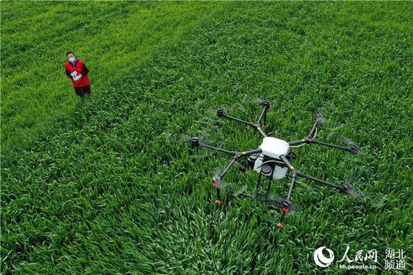 湖北?？担何奕嘶Υ汗茏饕?/></p>
<p class=