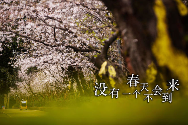 白衣战士，你的名字写满了这个春天！