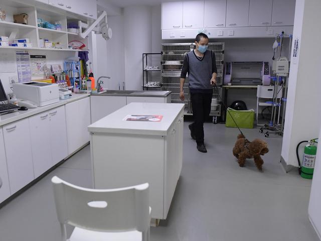 幸好有你，喵星人、汪星人的临时“奶爸”