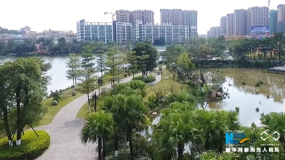 【“飞阅”中国】美！“鱼吃花” 画面生趣灵动