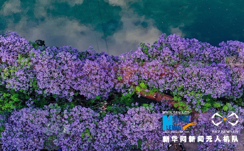 【“飞阅”中国】这就是“彩”云南美丽的样子！