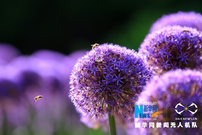 【“飞阅”中国】这就是“彩”云南美丽的样子！