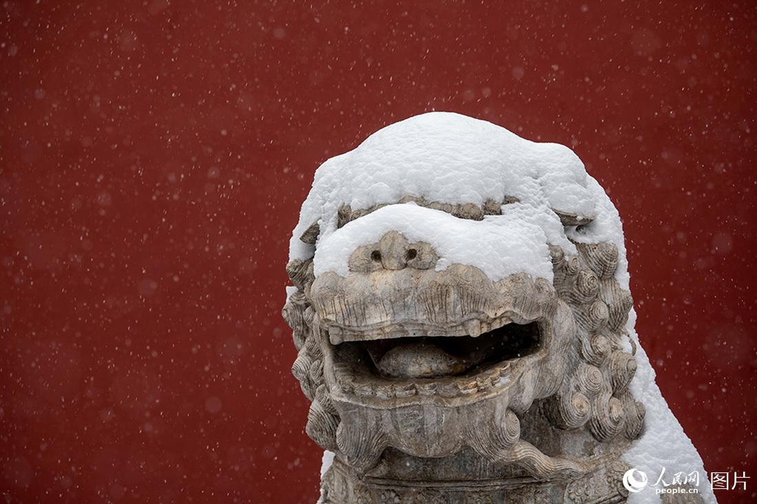 2月13日，景山公园，被白雪覆盖的石狮，憨态可掬。人民网翁奇羽摄