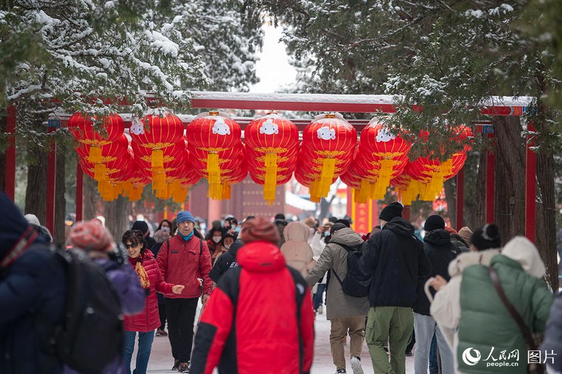 2月13日，在景山公园，被白雪覆盖的红灯笼犹如“雪容融”。人民网记者翁奇羽摄