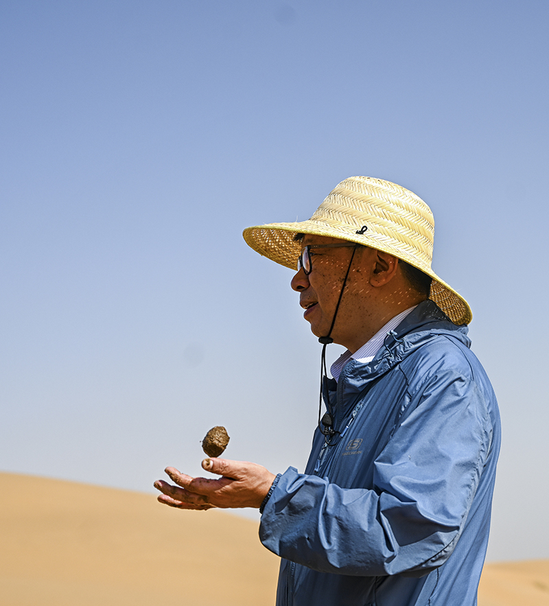 5年变出万亩绿洲——重庆交大科研团队治沙记 5年变出万亩绿洲——重庆交大科研团队治沙记