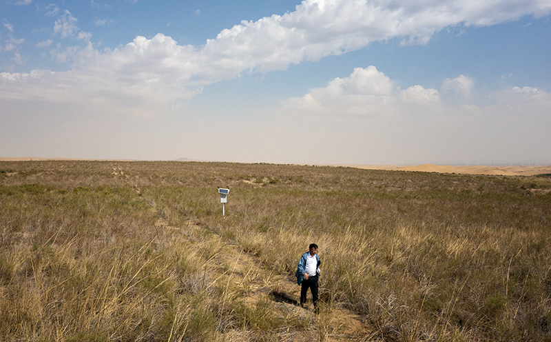 5年变出万亩绿洲——重庆交大科研团队治沙记 5年变出万亩绿洲——重庆交大科研团队治沙记