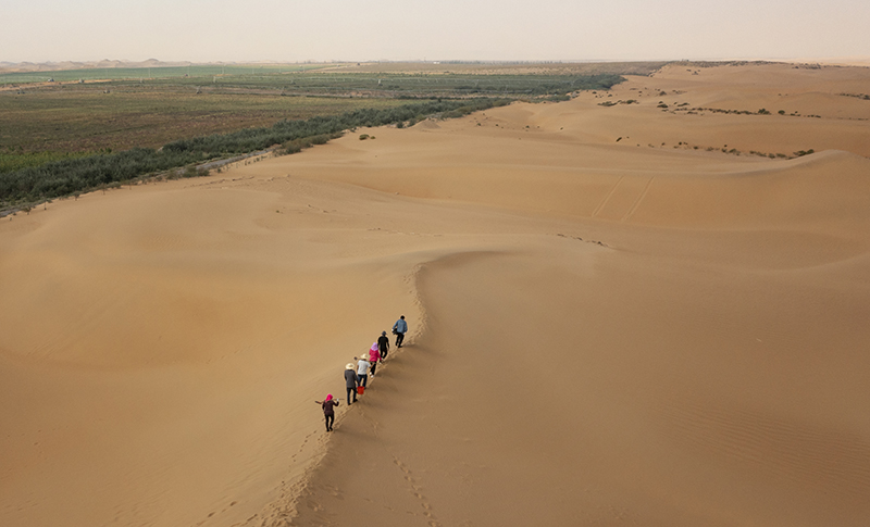 5年变出万亩绿洲——重庆交大科研团队治沙记 5年变出万亩绿洲——重庆交大科研团队治沙记