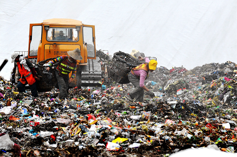 12年跟拍一项生态修复工程：昔日填埋场，今日大花园