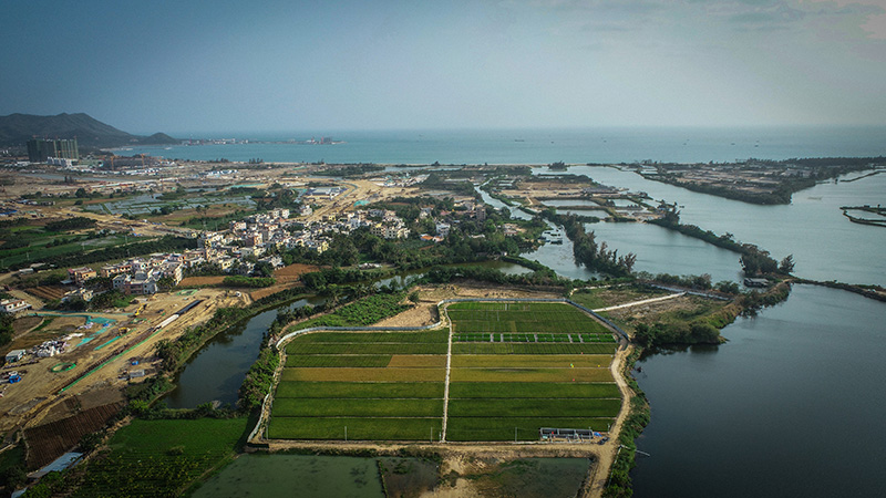 “?！敝腥×?  border=