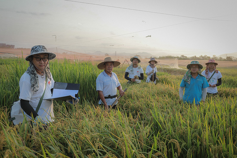 “?！敝腥×?  border=