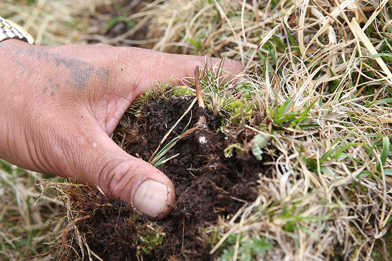 守护三江源 守护三江源