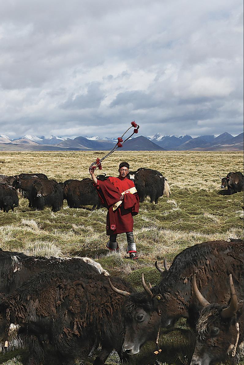 守护三江源 守护三江源