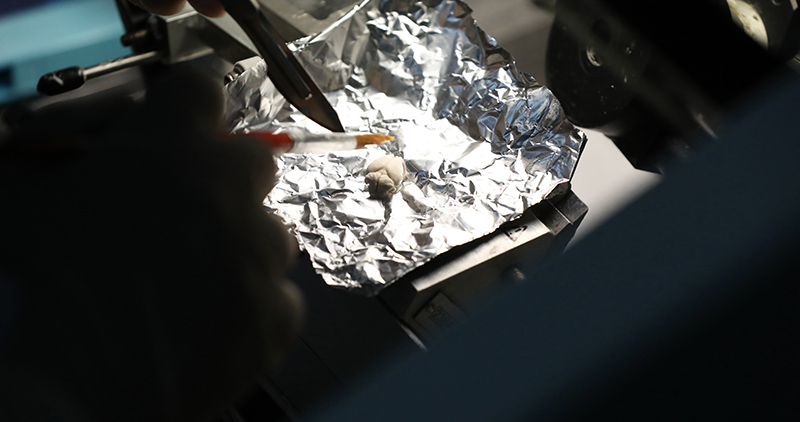 Scientists give thanks to lab friends 动物模型:疫情防控的另一条战线 Scientists give thanks to lab friends 动物模型:疫情防控的另一条战线