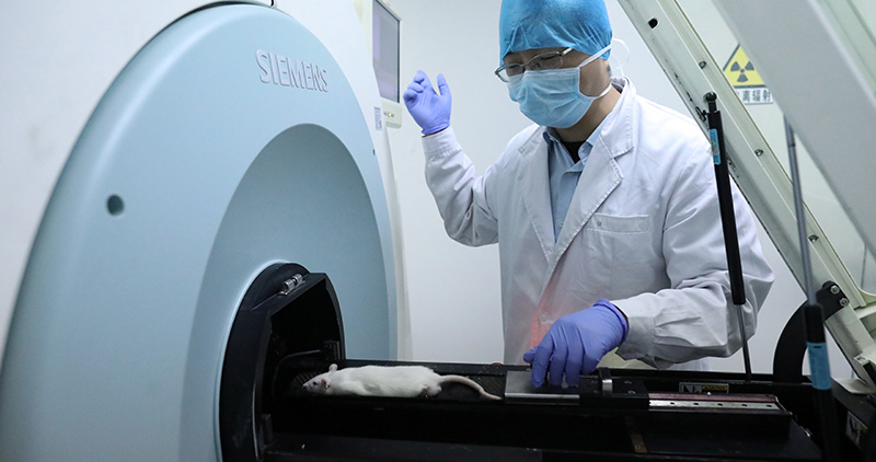 Scientists give thanks to lab friends 动物模型:疫情防控的另一条战线 Scientists give thanks to lab friends 动物模型:疫情防控的另一条战线