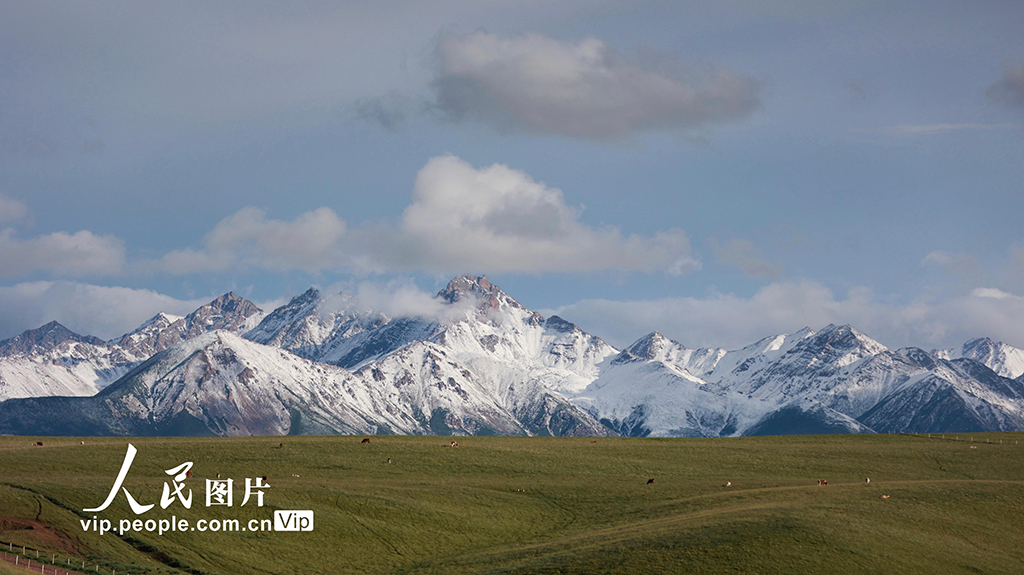 甘肃山丹马?。河旰蟛菰绻馊缁?/></p>
<p>　　2022年7月21日，甘肃山丹马场大草原在一场大雨的洗礼后，气温回升，雪山、草原和马群构成一幅幅美丽的生态画卷。王超摄（人民图片网）</p>
<p align=