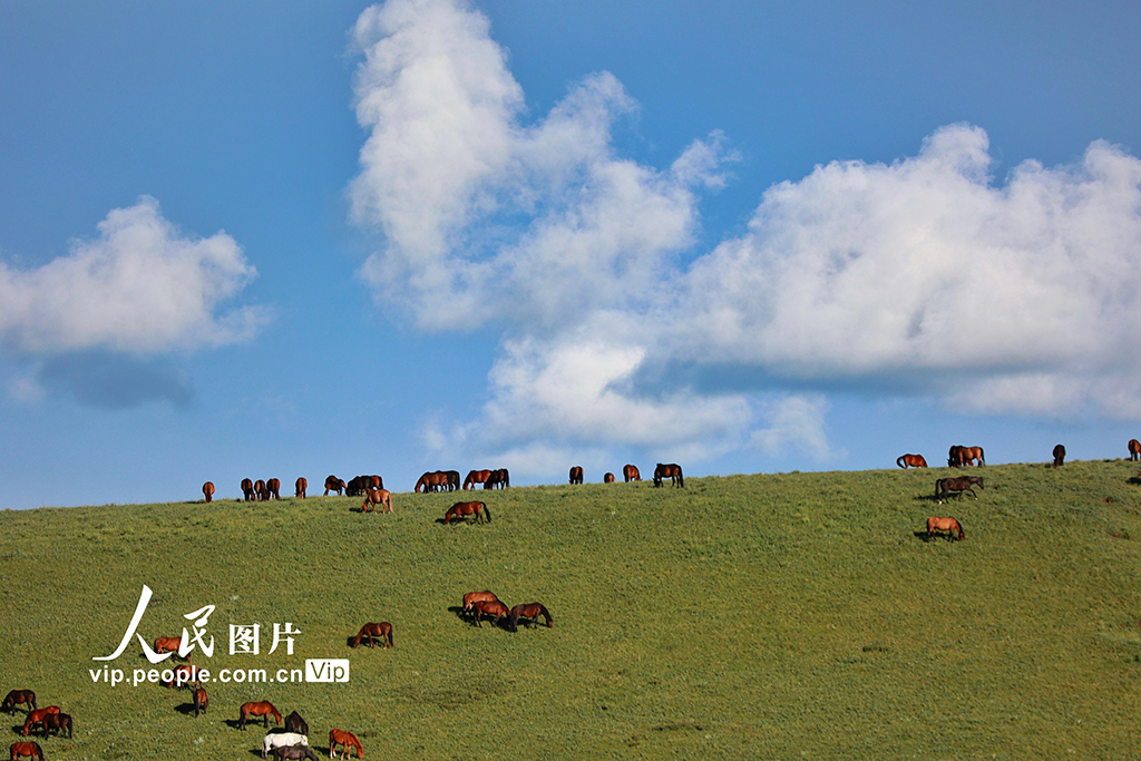 甘肃山丹马?。河旰蟛菰绻馊缁?/></p>
<p>　　2022年7月21日，甘肃山丹马场大草原在一场大雨的洗礼后，气温回升，雪山、草原和马群构成一幅幅美丽的生态画卷。王超摄（人民图片网）</p>
<p align=