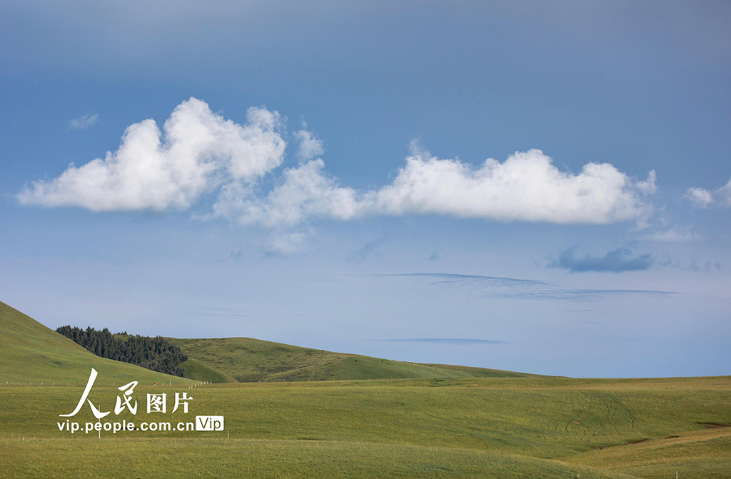 甘肃山丹马?。河旰蟛菰绻馊缁?/></p>
<p>　　2022年7月21日，甘肃山丹马场大草原在一场大雨的洗礼后，气温回升，雪山、草原和马群构成一幅幅美丽的生态画卷。王超摄（人民图片网）</p><!--/enpcontent--><!--/enpcontent-->
</div>

<footer>
<div class=