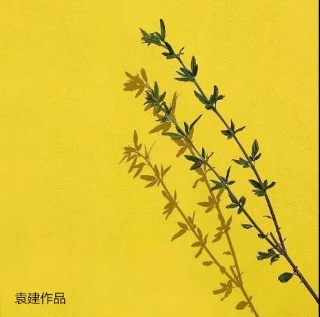 掌握这些摄影技巧，手机也能拍大片
