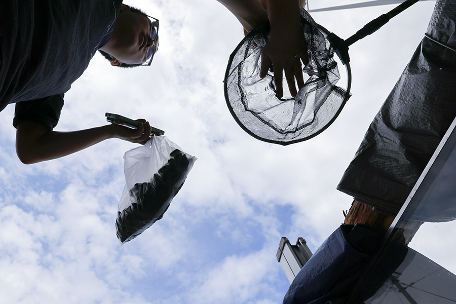 防洪墙:一块玻璃的稳固与温情 防洪墙:一块玻璃的稳固与温情