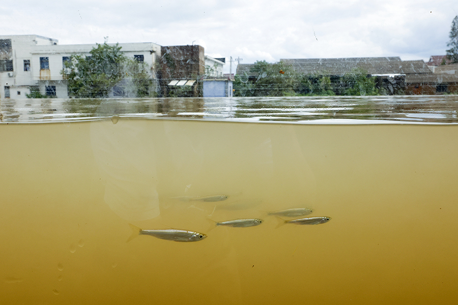 防洪墙:一块玻璃的稳固与温情 防洪墙:一块玻璃的稳固与温情