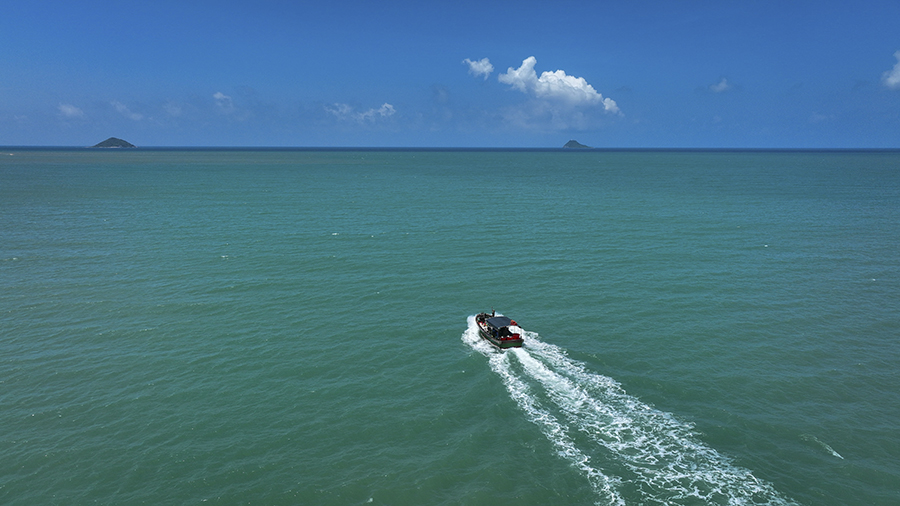 海底“护林” 海底“护林”