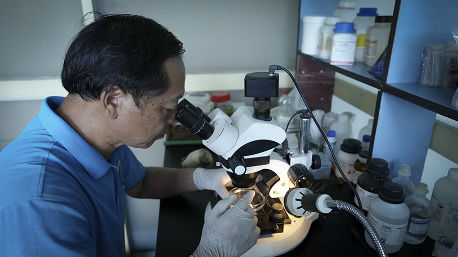 海底“护林” 海底“护林”