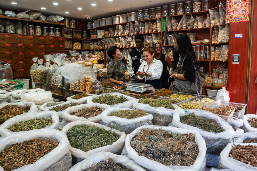 中医，一种跨越国界的热爱