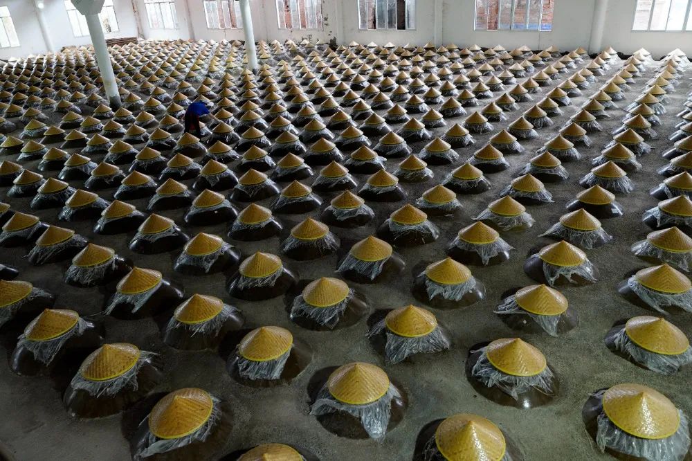 图集｜川渝摄影名家、记者走进綦江作品选登