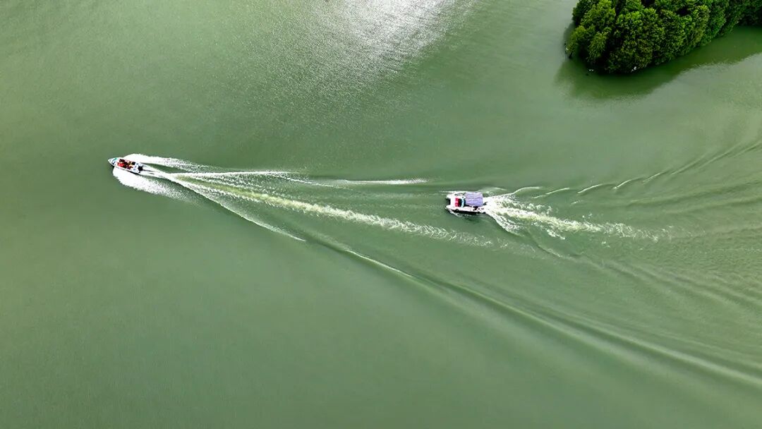 用“理论强基+案例研讨+实践淬炼”强“四力”