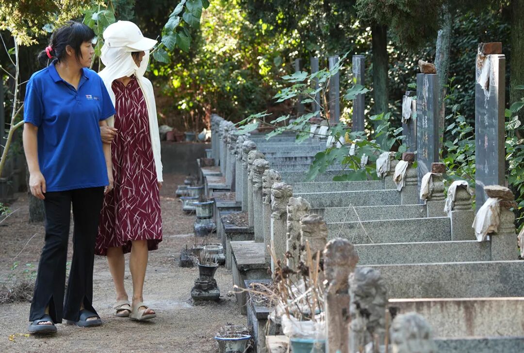 寻访37年前的感动