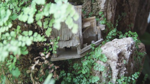 1620万像素入门旗舰 索尼A35评测首发